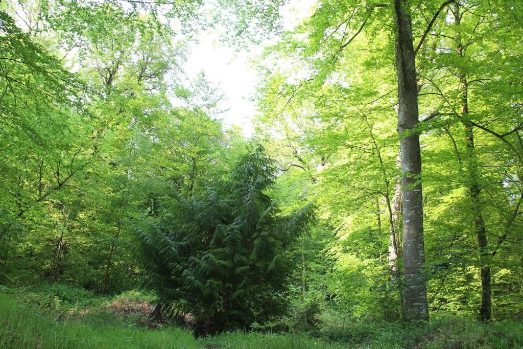 Albert Premier Hotel Bagnoles-de-l'Orne Exteriör bild
